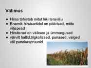 Taimekultuuri teraviljad põhjalik esitlus #17