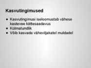 Taimekultuuri teraviljad põhjalik esitlus #19