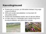 Taimekultuuri teraviljad põhjalik esitlus #24