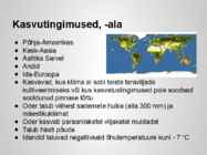 Taimekultuuri teraviljad põhjalik esitlus #4