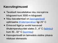 Taimekultuuri teraviljad põhjalik esitlus #37