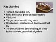 Taimekultuuri teraviljad põhjalik esitlus #5