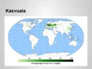 Taimekultuuri teraviljad põhjalik esitlus #10