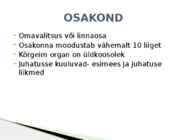 Keskerakond #13