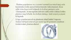 Plaatina #8
