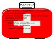 Annona muricata #4