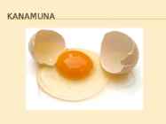 Kanamuna #3