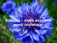 Lydia Koidula-24 12 1843- 11 08 1886 #16