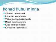 VILSANDI #5