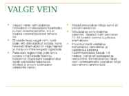 VEIN #12