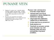 VEIN #17
