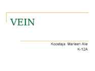 VEIN