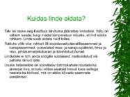 LINNUD esitlus #11
