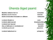 LINNUD esitlus #13