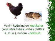 LINNUD esitlus #4