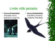LINNUD esitlus #5