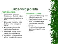 LINNUD esitlus #7