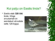 LINNUD esitlus #9