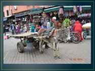 Marrakech #11