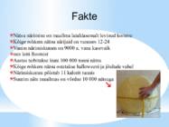 Esitlus NÄRIMISKUMM #10