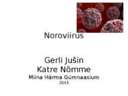 Noroviirus