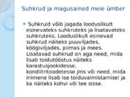 Suhkrud #3