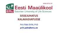 SISSEJUHATUS KALAKASVATUSSE 2014