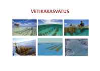 SISSEJUHATUS VESIVILJELUSSE 2014 #23
