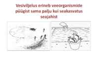 SISSEJUHATUS VESIVILJELUSSE 2014 #5