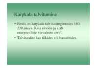 Karpkalakasvatus 2014 #155