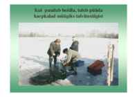 Karpkalakasvatus 2014 #156