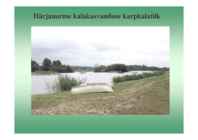 Karpkalakasvatus 2014 #162