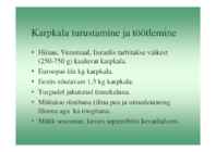 Karpkalakasvatus 2014 #168