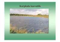 Karpkalakasvatus 2014 #60