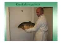 Karpkalakasvatus 2014 #77