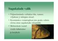 Karpkalakasvatus 2014 #80