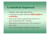 Karpkalakasvatus 2014 #83