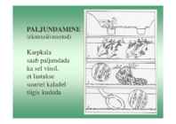 Karpkalakasvatus 2014 #85