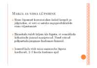 KALADE PALJUNDAMINE #13