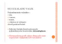 KALADE PALJUNDAMINE #42