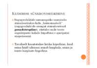 KALADE PALJUNDAMINE #49