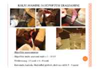 KALADE PALJUNDAMINE #51