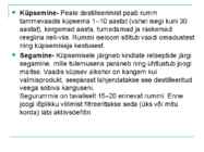 Rumm #4