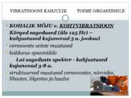 VIBRATSIOON #5