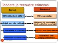 Ettevõtlus #6
