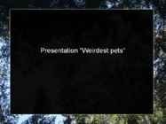 Presentation Weirdest Pets