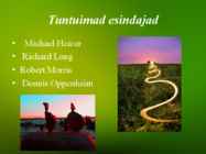 Maakunst e land art esitlus #3