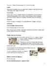 Õppekäik ettevõttesse #3