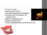 Hans Christjan Andersen #12