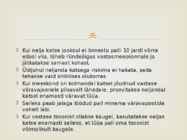 Ameerika jalgpall #15
